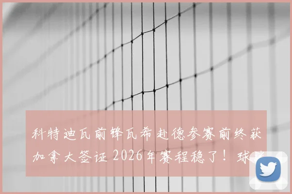 科特迪瓦前锋瓦希赴德参赛前终获加拿大签证 2026年赛程稳了!球迷:签证真是场硬仗