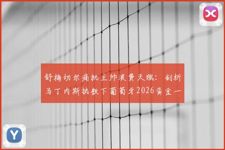 舒梅切尔痛批主帅浪费天赋：剖析马丁内斯执教下葡萄牙2026黄金一代困境与阵容前景