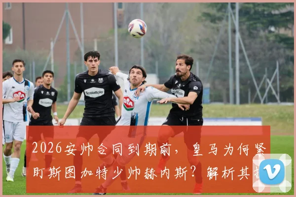 2026安帅合同到期前,皇马为何紧盯斯图加特少帅赫内斯?解析其执教成绩、战术风格与拜仁渊源