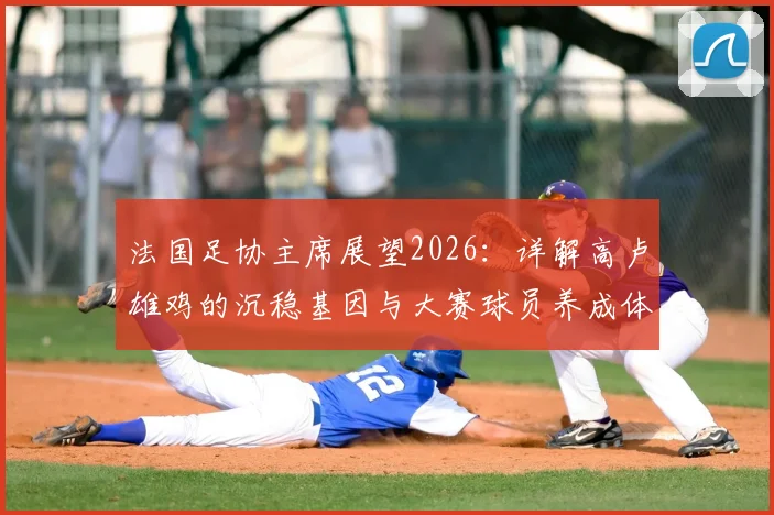 法国足协主席展望2026：详解高卢雄鸡的沉稳基因与大赛球员养成体系